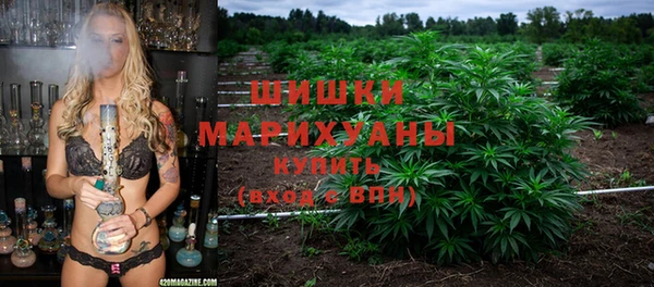 шишки Верея