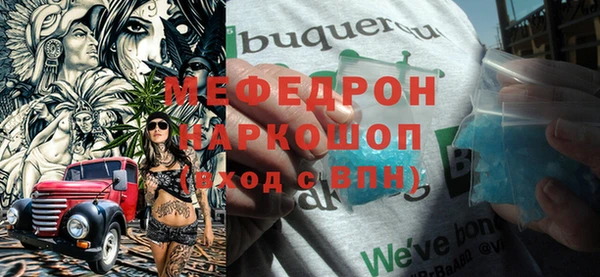 шишки Верея