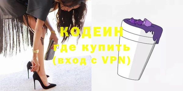 шишки Верея