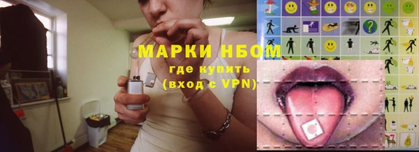 шишки Верея