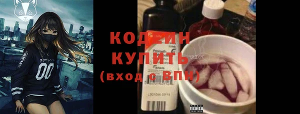 шишки Верея