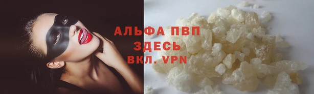 шишки Верея