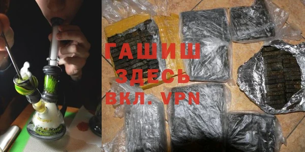 шишки Верея