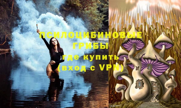 шишки Верея