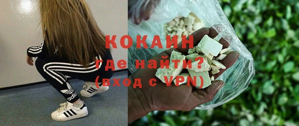 шишки Верея