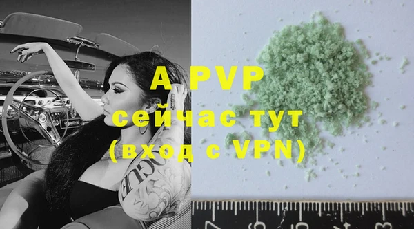 шишки Верея