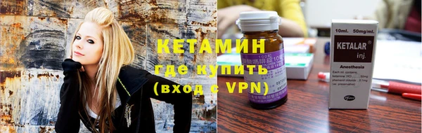шишки Верея