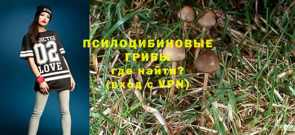 шишки Верея